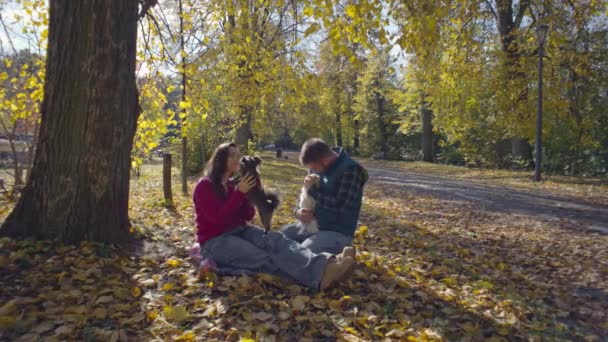 Happy Caucasian Couple Playing Pets Yellow Autumn Leaves Park Care — Stock Video