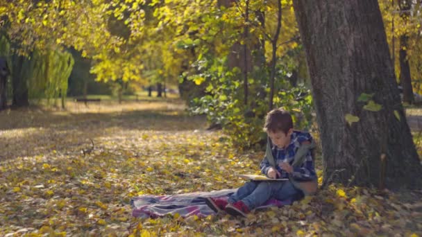 Joyful Scholarly Moments Young Boy Notebook Hand Engages Homework Amidst — Vídeo de Stock