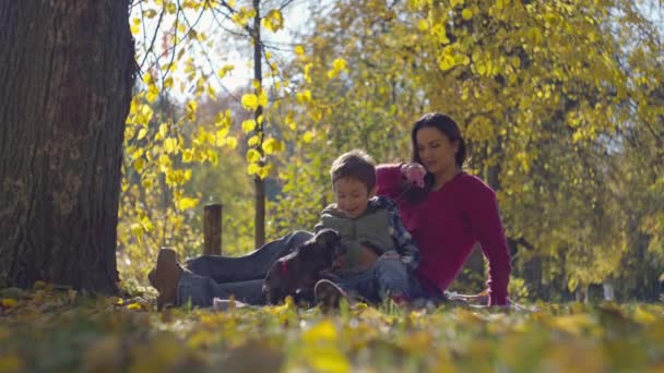 Symphony Colors Joy Family Bonding Dogs Amidst Beauty Autumn Leaves — Vídeos de Stock