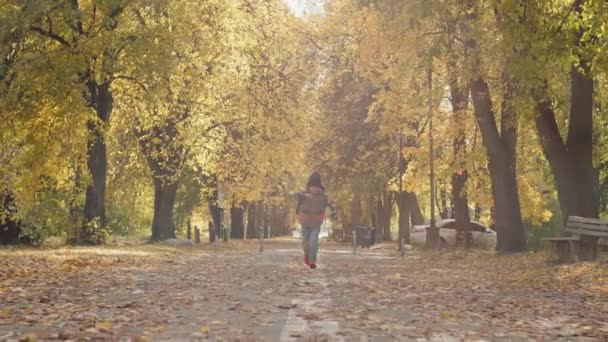 Повернення Школи Блаженство Молодий Студент Прогулює Осінній Парк Високоякісні Кадри — стокове відео