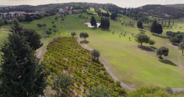 Fairways Yukarısında Sakin Dağ Ormanlarındaki Golf Heyecanının Havadan Zaferi Var — Stok video