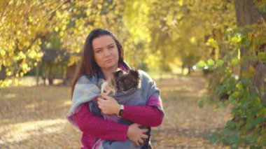 Erdemli Hayvan İlişkileri: Serene Girl, Sonbaharın Altın Yaprakları Kucaklayan Köpekleri Sevgisini ve Bakımını Gösteriyor. Yüksek kalite 4k görüntü