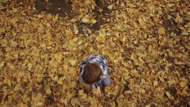 Symfonia Śmiechu Happy Boy Revels Playtime Wśród Żywych Kolorów Jesieni — Wideo stockowe