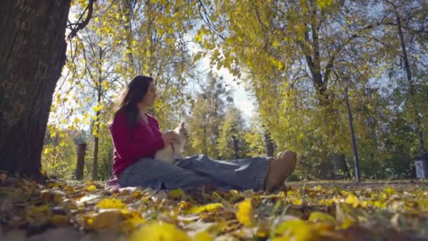 Symphony Colors Beautiful Woman Her Dog Finding Bliss Tranquil Autumn — Stockvideo