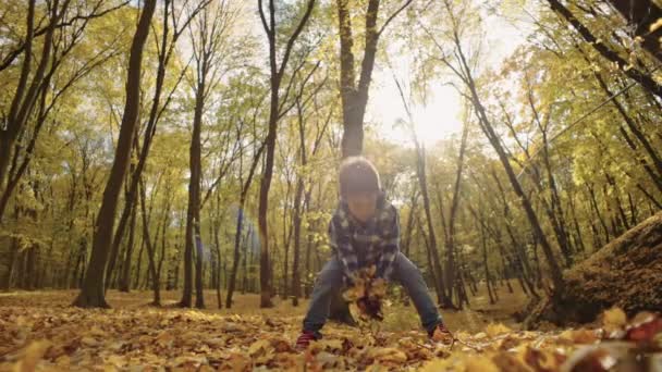 秋の放射線を捉える 魅惑的な森でオレンジの葉を投げる楽しい子供 高品質の4K映像 — ストック動画