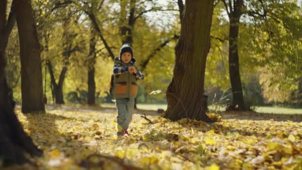 Fall Learning Quest Happy Schoolboy Marchando Folhas Amarelas Para Descobertas — Vídeo de Stock