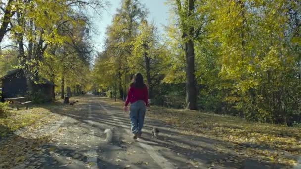 Capturing Autumns Essence Woman Pet Creating Heartfelt Memories Spectacular Yellow — Vídeo de stock