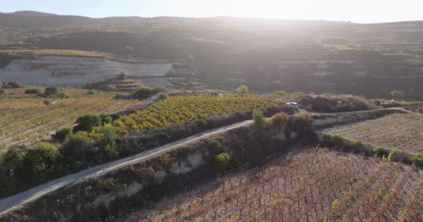 空中俯瞰高山上的农业葡萄园 风景秀丽的自然景观和种植葡萄的农田 高质量的4K镜头 — 图库视频影像