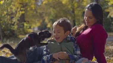 Sonbahar Senfonisi: Anne, Oğul ve Oyuncak Yavrularla Bir Gülme ve Sevgi Günü. Yüksek kalite 4k görüntü