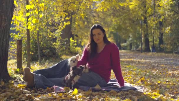自然の美しさを受け入れる 輝かしい黄色い秋の葉に彼女の最愛の犬と遊び心のある瞬間を楽しむ豪華な女性 高品質の4K映像 — ストック動画