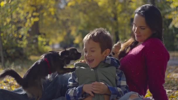 Embracing Fall Symphony Day Laughter Love Mom Son Playful Pups — Vídeo de stock