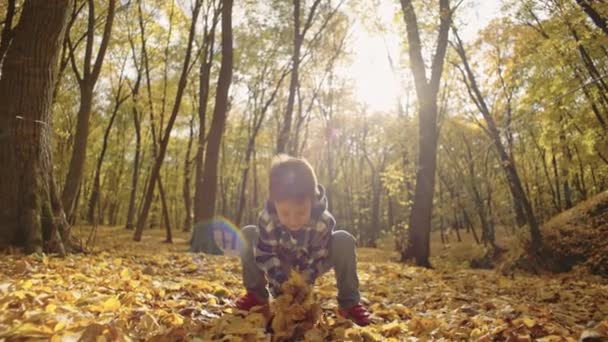 Заветные Моменты Игривый Ребенок Погруженный Магию Осеннего Леса Высококачественные Кадры — стоковое видео