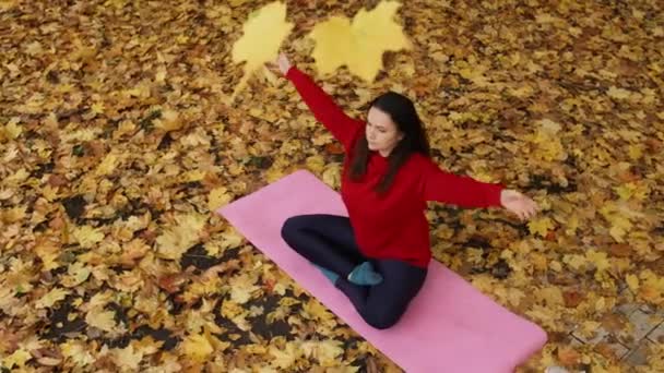 Tomar Sol Otoño Brilla Retiro Sereno Yoga Dosel Oro Las — Vídeo de stock