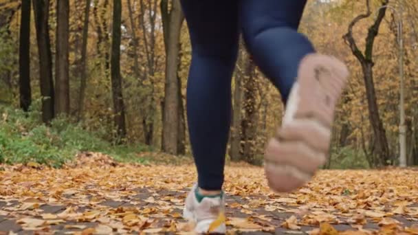 Doğayla Koşu Sonbaharda Sarı Yaprak Yolu Nda Kadın Fitness Yolculuğu — Stok video