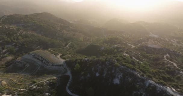 Hues Sunrise Drón Feltárása Szőlőskertek Gazdálkodás Mountain Splendor Kiváló Minőségű — Stock videók