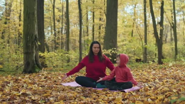 Matka Syn Uprawiają Jogę Jesiennym Parku Szczęśliwego Dzieciństwa Zdrowego Stylu — Wideo stockowe