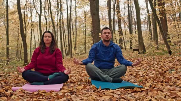 Armonia Autunnale Yoga Bliss Coppie Nel Golden Park Retreat Filmati — Video Stock