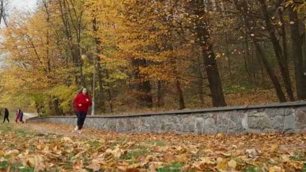 秋季健美脱逃 公园里的妇女在黄叶海中慢跑 高质量的4K镜头 — 图库视频影像