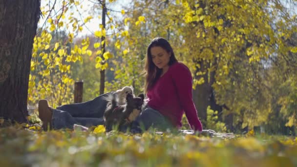 Cherishing Season Lovely Lady Sitting Rich Hues Autumn Leaves Sharing — стоковое видео