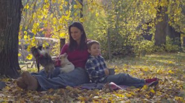 Sarı Yapraklar Arasında Anne, Oğul ve Oyuncak Yavrularla Bir Aile Pikniği. Yüksek kalite 4k görüntü
