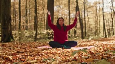 Altın Sükunet Açılışı: Sonbaharlar Arasındaki Yoga ve Meditasyonun Erdemli Yolculuğu. Yüksek kalite 4k görüntü