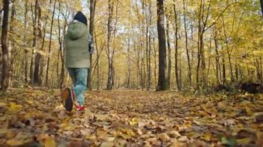 Bir çocuk sonbahar ormanında sarı yapraklarla koşar. Mutlu çocukluk özgürlüğü kavramı doğayı seviyor. Yüksek kalite 4k görüntü