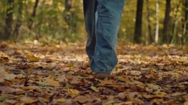 Sonbahar parkında yürüyen kadın bacaklarının yakın çekimi. Ormanda sarı yaprakların üzerinde yürüyorum. Yüksek kalite 4k görüntü
