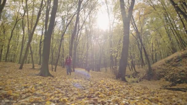 オートマス グローのベース 母と息子は笑いを共有し 公園で葉を投げる 高品質の4K映像 — ストック動画
