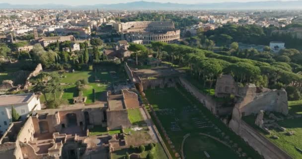 Flygfoto Temple Palatin Rom Italien Ruiner Gammal Antik Slott Toppen — Stockvideo