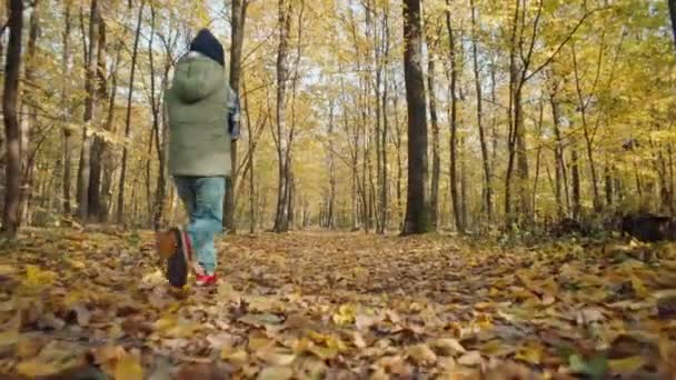 Bir Çocuk Sonbahar Ormanında Sarı Yapraklarla Koşar Mutlu Çocukluk Özgürlüğü — Stok video
