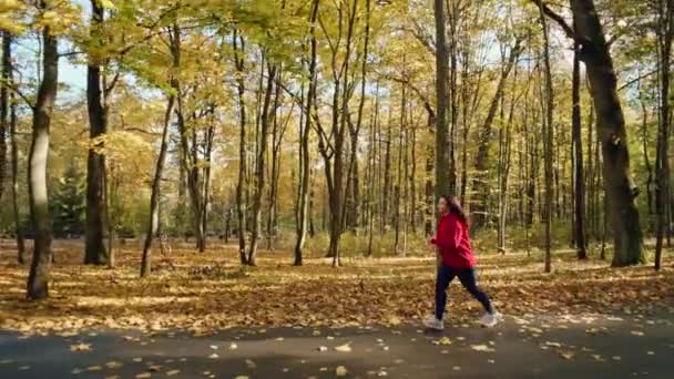 Tlustá Masožravá Žena Běhá Podzimním Parku Dívka Sportovním Oblečení Běží — Stock video