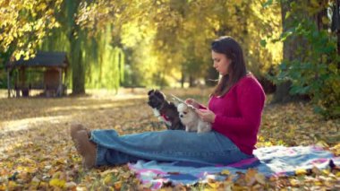 Outdoor Remote Job: Autumn Day with Girl, Laptop, Phone, and Pet Companions. High quality 4k footage