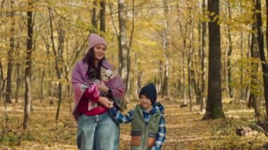 Mother and son are walking in the autumn forest with dogs. The warmth and love of a woman for children and animals in the season of yellow fall leaves. High quality 4k footage