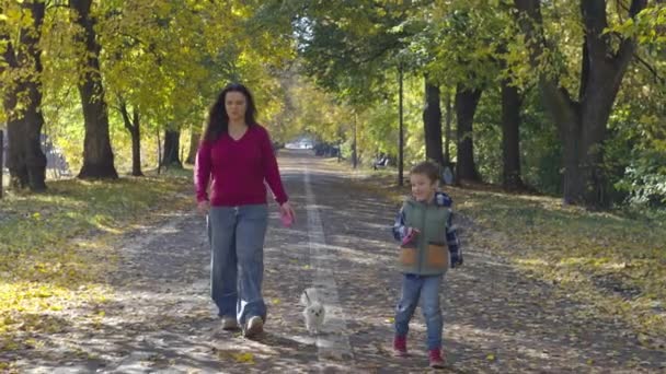Mother Son Walk Dogs Path Park Golden Autumn Yellow Leaves — Stok Video