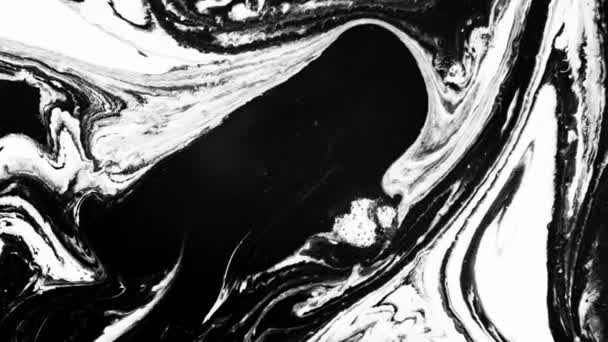 Alpha Matte Abstraction Intricate Black White Liquid Motion Artistic Red — Vídeo de stock