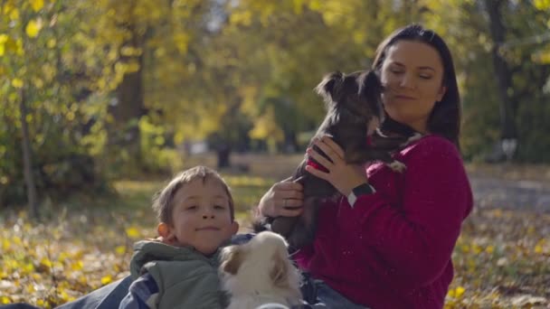 Harmony Happiness Family Gathering Furry Companions Radiant Leafy Picnic High — стоковое видео