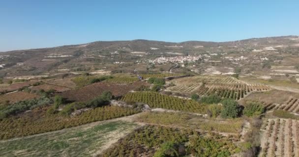 Epicurean Elevation Cinematic Journey Enchanting Symbiosis Grape Cultivation Winemaking Highland — Vídeo de stock