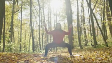 Harvesting Serenity: Nurturing Well-Being Through Yoga on a Canopy of Golden Leaves in the Autumn Park. High quality 4k footage