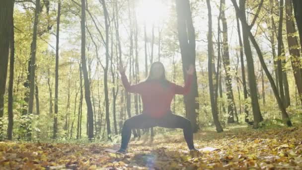 Harvesting Serenity Nurturing Well Being Yoga Canopy Golden Leaves Autumn — Video Stock