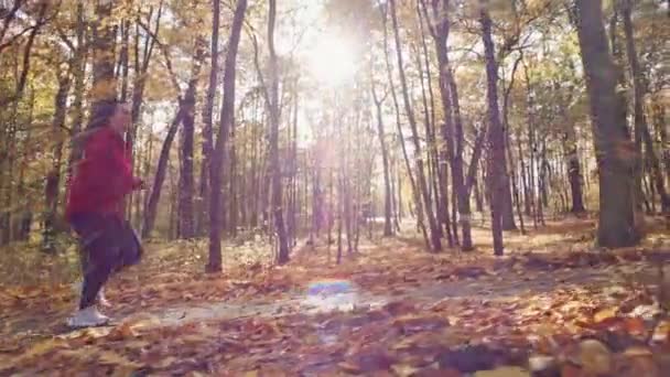 Radiance Doğru Koşmak Bir Kadın Fitness Seferi Autumns Altın Yaprak — Stok video
