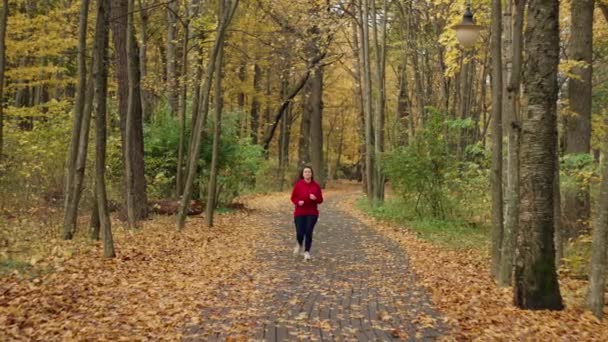 Sonbahar Parkında Sabah Koşusu Koşu Spor Sporları Aktif Bir Kadın — Stok video