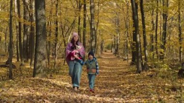 Mutlu bir anne ve oğul sonbahar ormanında yürüyüşe çıkıyor. Aile sarı yaprağı kırsal bölgeye kadar takip ediyor. Yüksek kalite 4k görüntü