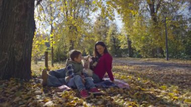 Neşeli Anlar: Anne, Oğul ve Köpek Yoldaşları Vibrant Autumn Park 'ta Anılar Yaratıyorlar. Yüksek kalite 4k görüntü