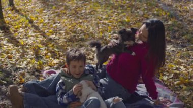 Anne ve oğlu sonbahar parkında köpeklerle piknikte. Aile hayvanlarla eğleniyor, sarı bir çarşafın üzerinde otururken sarılıyor ve gülümsüyor. Yüksek kalite 4k görüntü