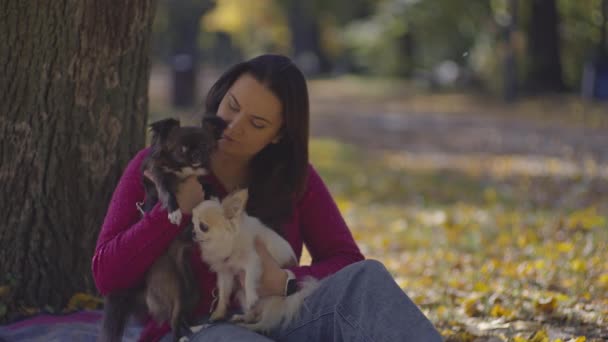 宠物乐园 快乐的女人和她的毛茸茸的朋友在一个宁静的自慰公园里的黄叶沙沙作响的环境中进行着有趣的活动 高质量的4K镜头 — 图库视频影像