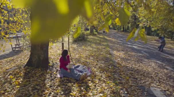 母と息子は秋の公園を歩き 息子と一緒に楽しんでいる 人生の幸せな瞬間は 子供たちの愛とペットの世話です 高品質の4K映像 — ストック動画