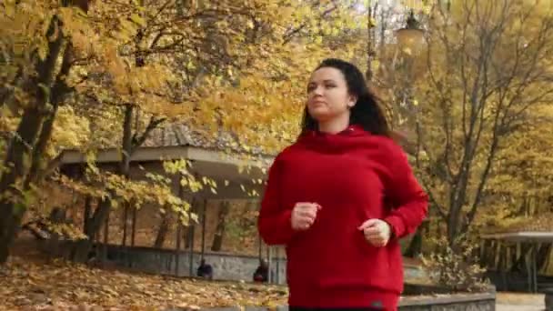 Embracing Natures Rhythms Fitness Odyssey Woman Jogs Amber Foliage Autumnal — Vídeos de Stock