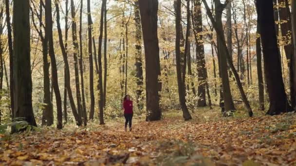Złote Kroczki Aktywne Kroniki Życia Kobiety Biegającej Wśród Jesiennych Liści — Wideo stockowe
