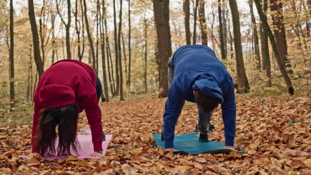 Blank Stel Doet Yoga Het Herfstpark Man Vrouw Presteren Asanas — Stockvideo