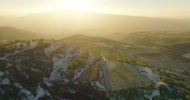 Mountain Wine Magic Luchtfoto Sunrise Uitzicht Wijngaarden Agrarische Arbeid Hoge — Stockvideo
